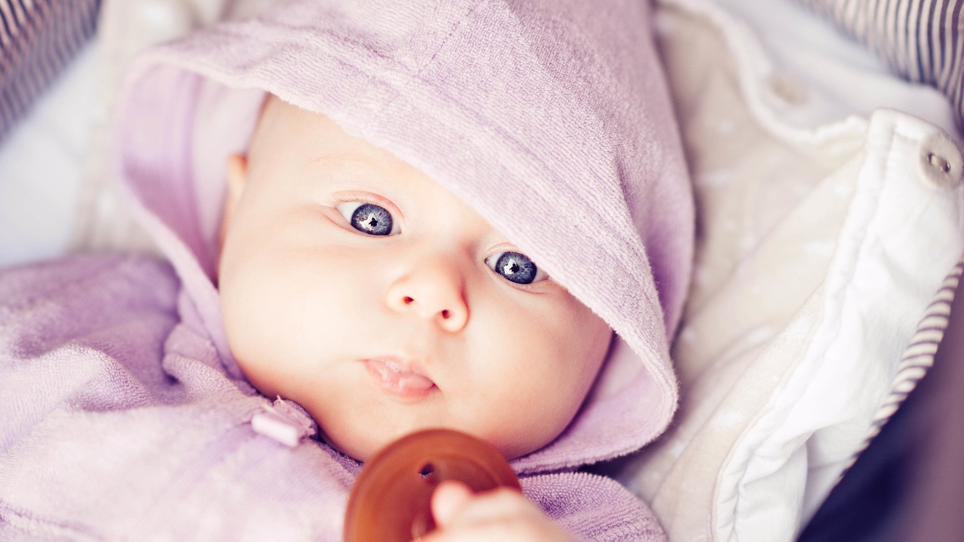 供卵代怀试管婴儿成功率是多少